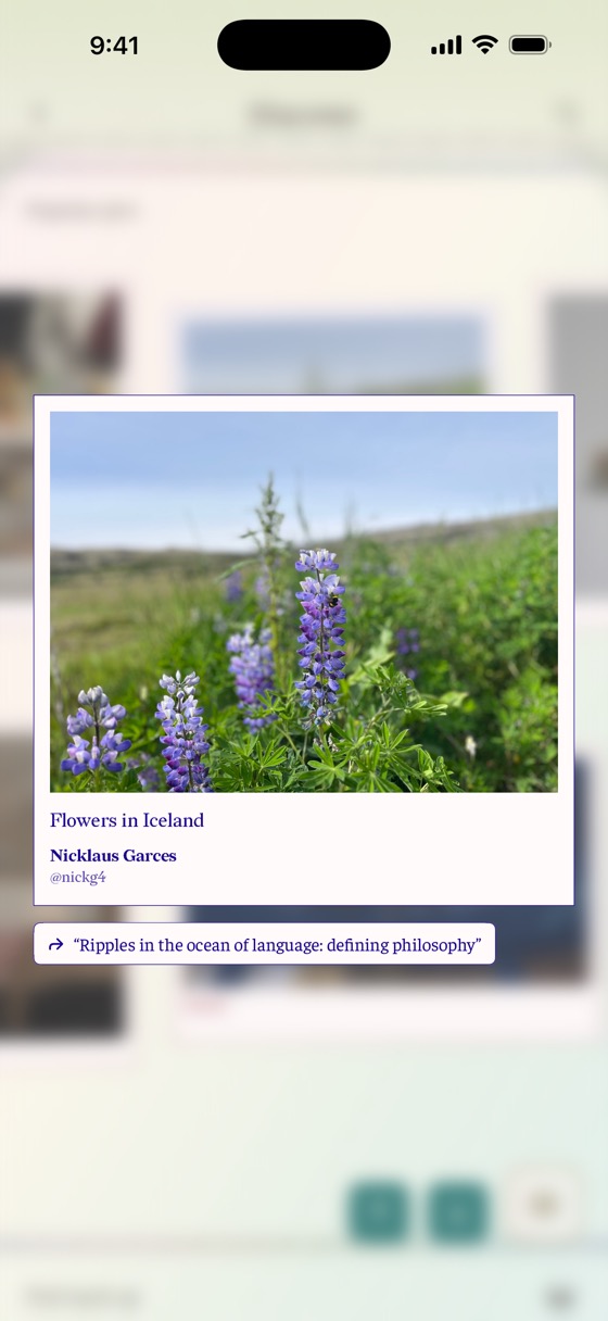 A photo of lupines in Iceland opened in the lightbox with its credit and source jot